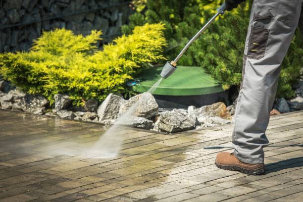 Boat and Dock Cleaning in Columbus, WI